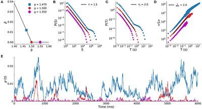 Subsampled Directed-Percolation Models Explain Scaling Relations Experimentally Observed in the Brain